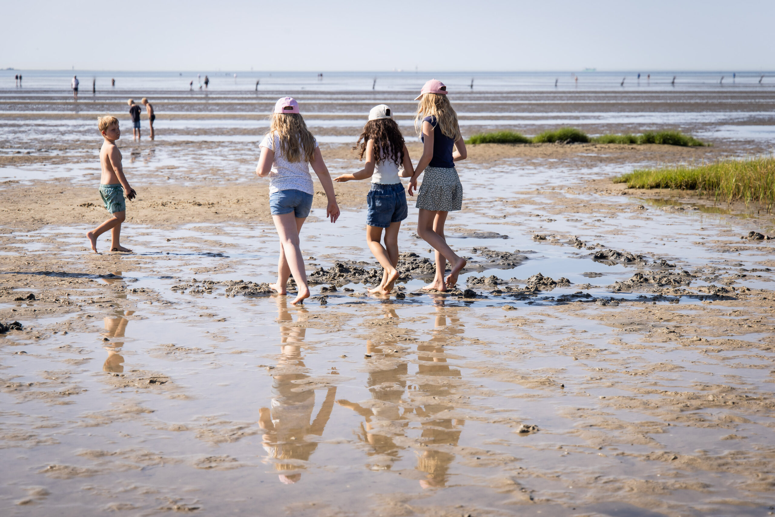 260729 0875 Jc Wattenmeer Bz Cuxhaven