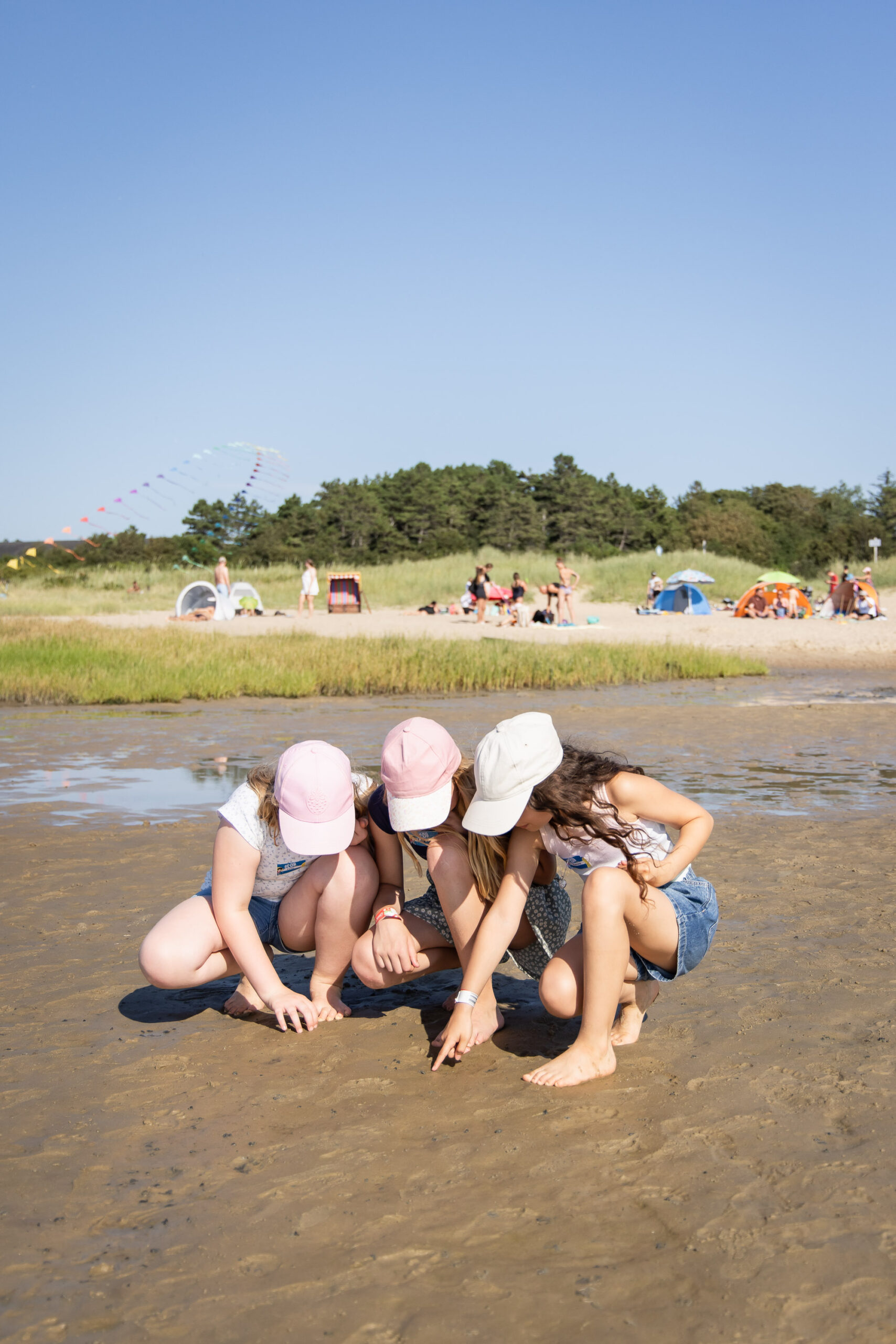 260729 0883 Jc Wattenmeer Bz Cuxhaven