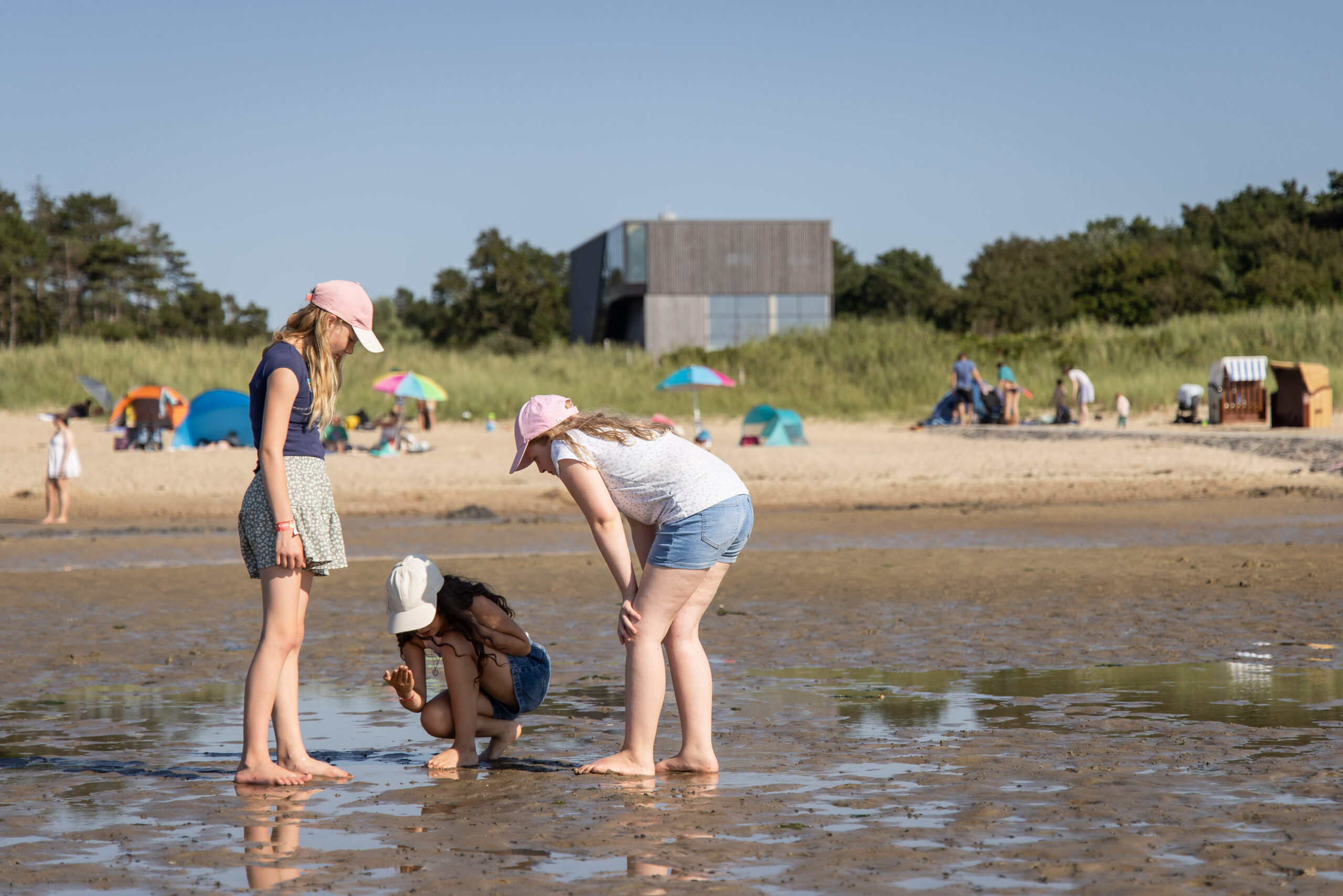 260729 0910 Jc Wattenmeer Bz Cuxhaven