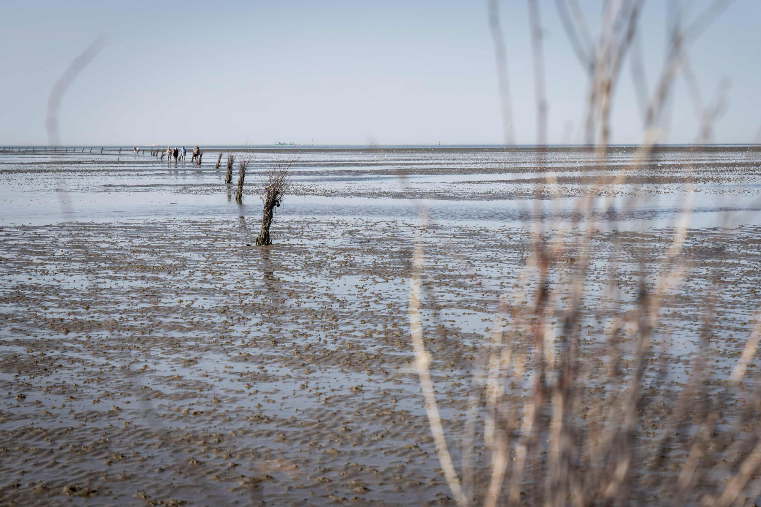 260729 0945 Jc Wattenmeer Bz Cuxhaven