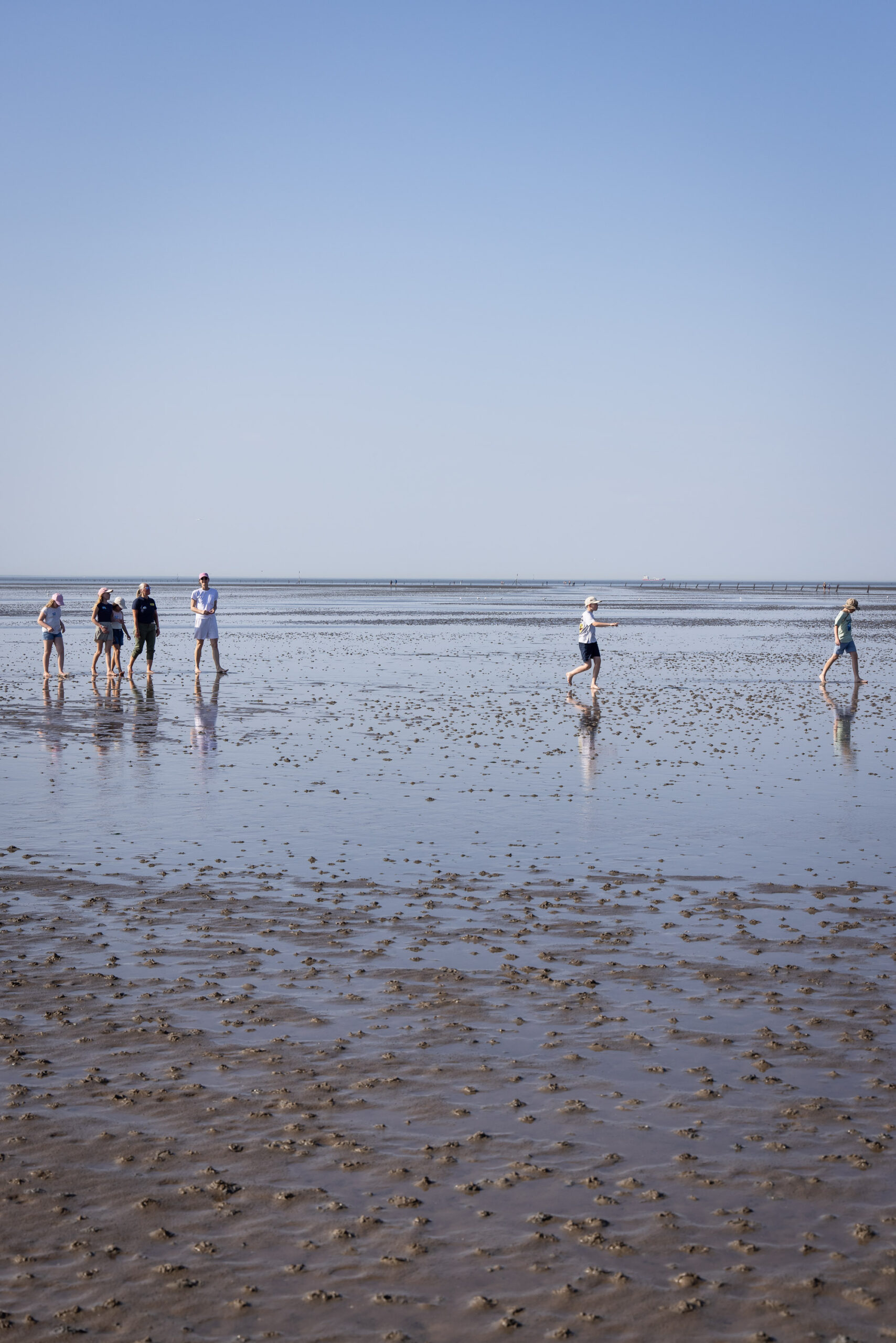 260729 0953 Jc Wattenmeer Bz Cuxhaven