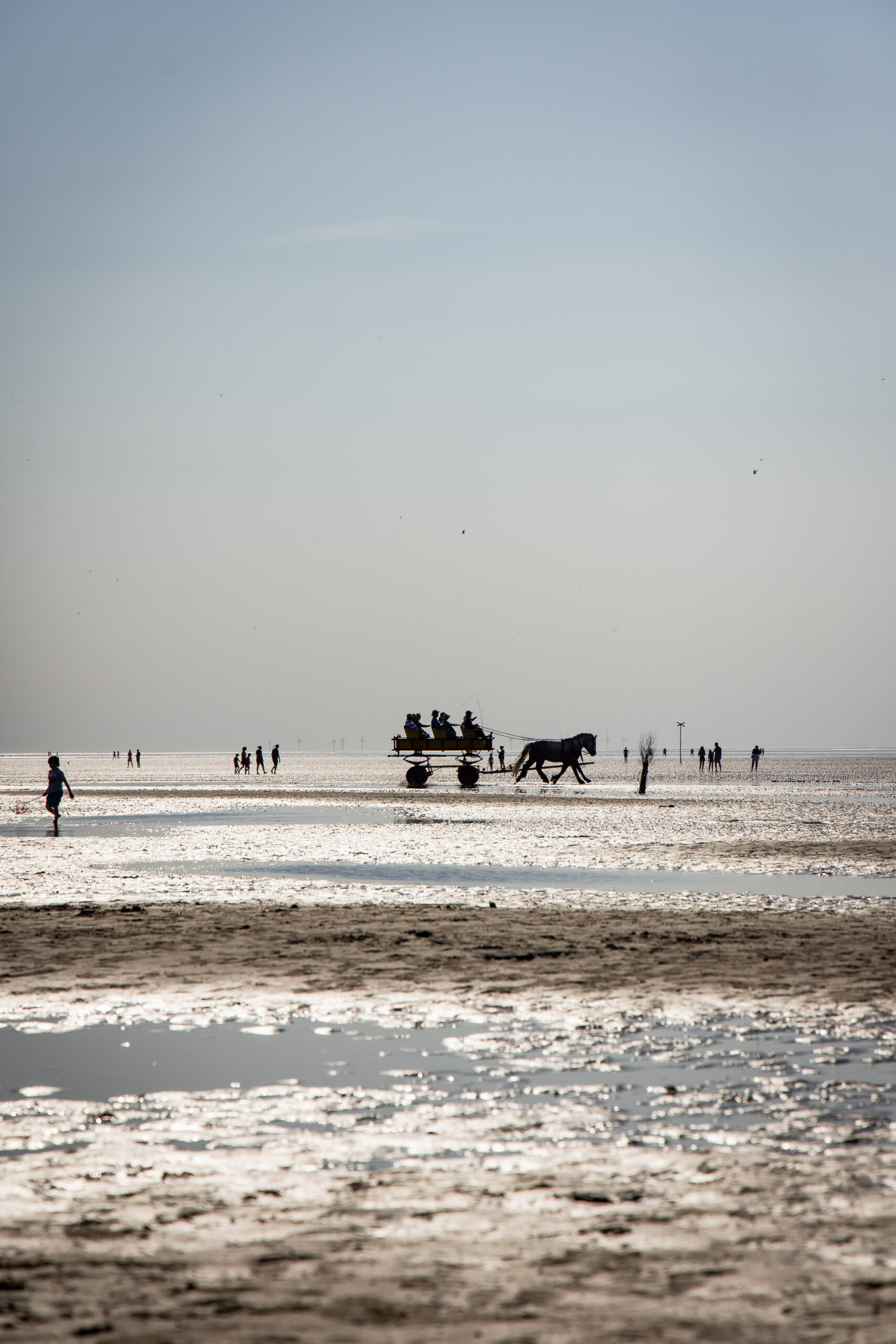260729 1062 Jc Wattenmeer Bz Cuxhaven